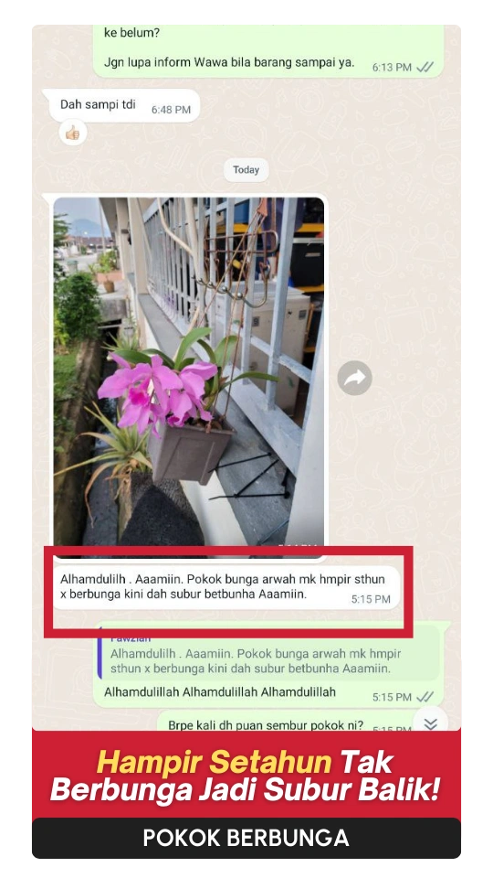 Testimoni-Bunga-1.webp